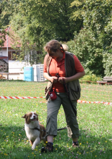 Bild 036